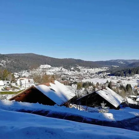 En Altitude Avec Terrasse Proche Gerardmer Апартаменты Ксорюпт-Лонжме